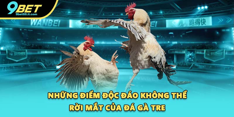 Những điểm độc đáo không thể rời mắt của đá gà tre