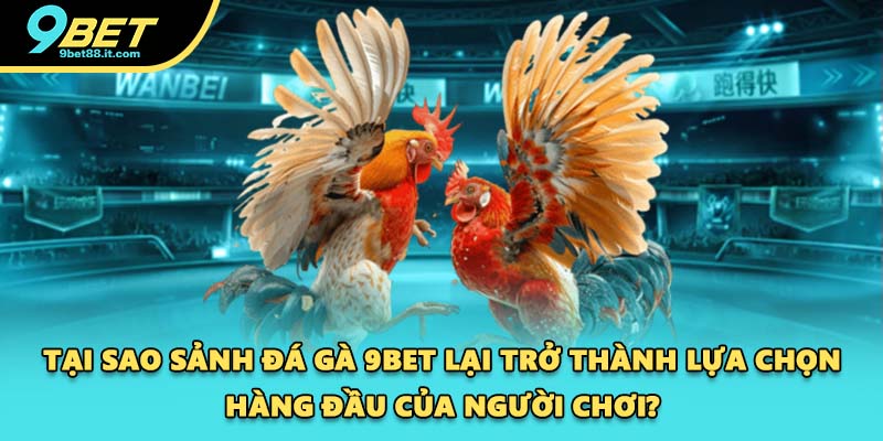 Tại sao sảnh đá gà 9BET lại trở thành lựa chọn hàng đầu của người chơi?